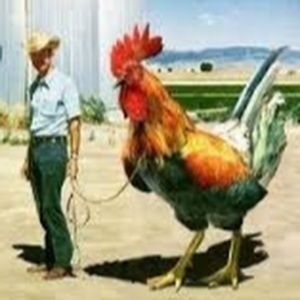 Meet your Posher, Todd